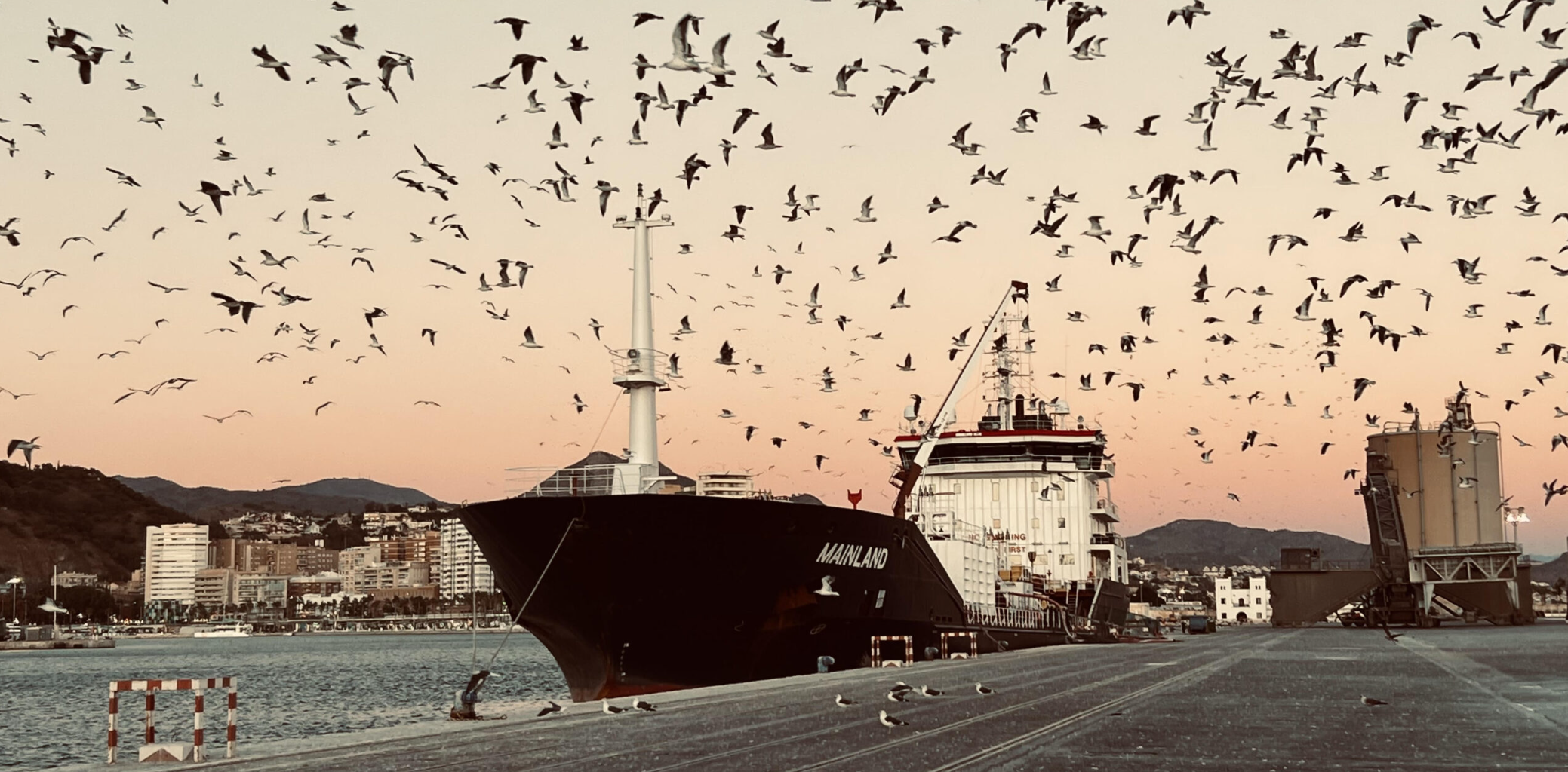 Besiktas Shipping | Environment