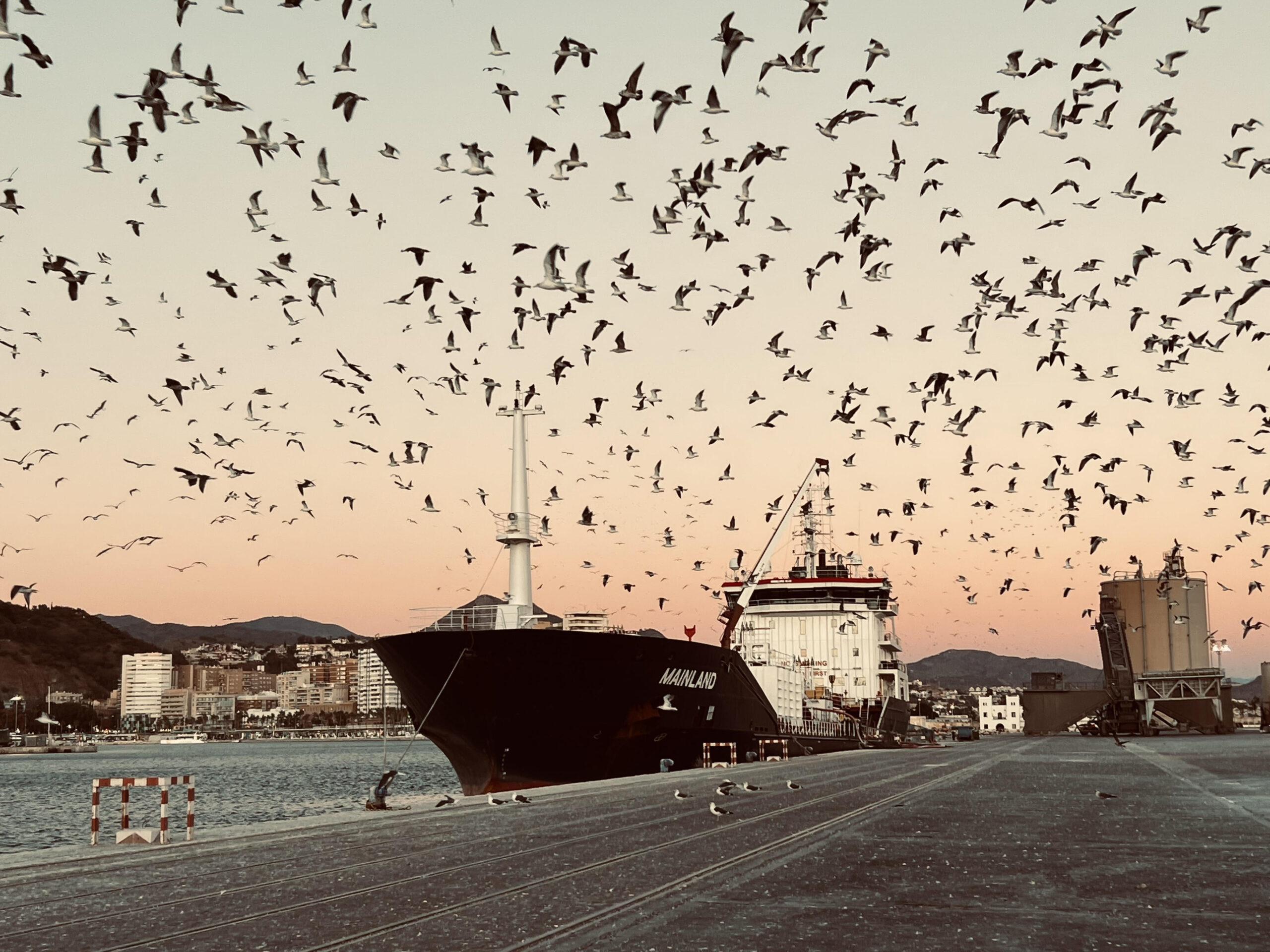 Besiktas Shipping | Environment