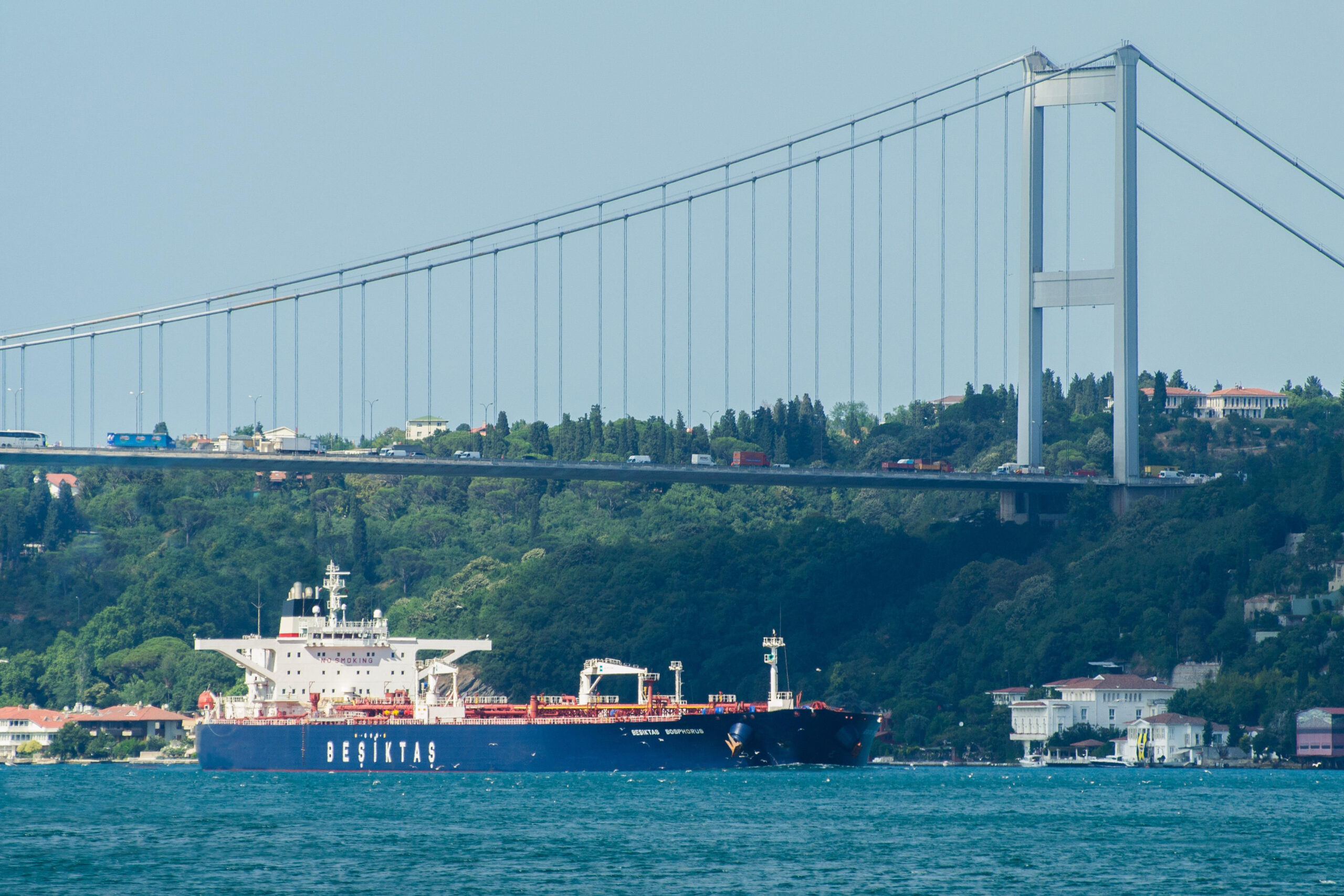 Besiktas Shipping - Ship Owning & Management