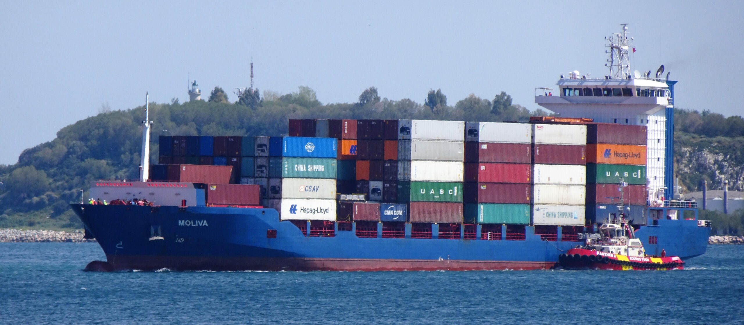Besiktas Shipping | M/V MOLIVA (9454034)