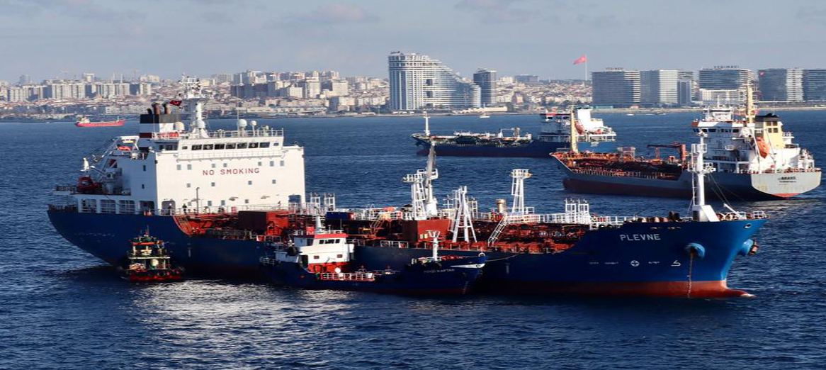 Besiktas Shipping | M/T PLEVNE (9340908)